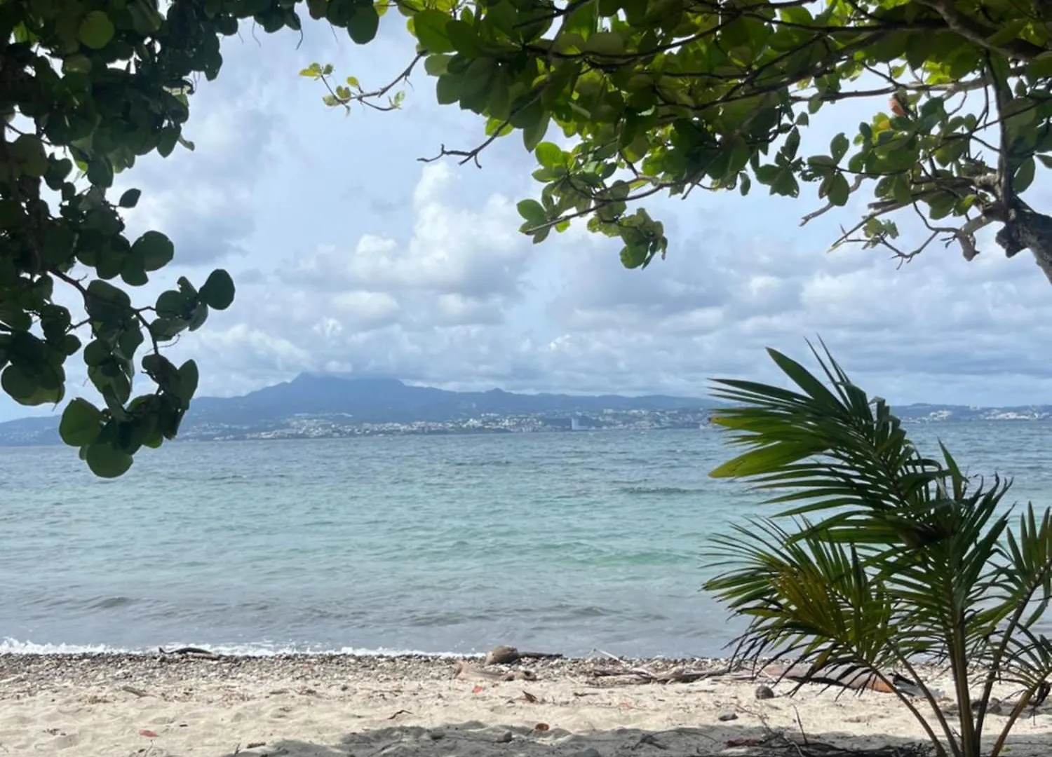 Au Roseau Des Indes Appt Avec Piscine Jardin Et Fibre Apartment Les Trois-Ilets Martinique